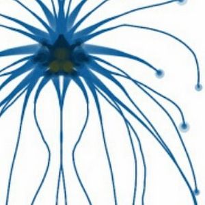 Meet your Posher, Jeremy